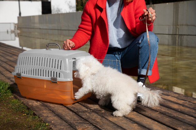 Crate Training for Dogs